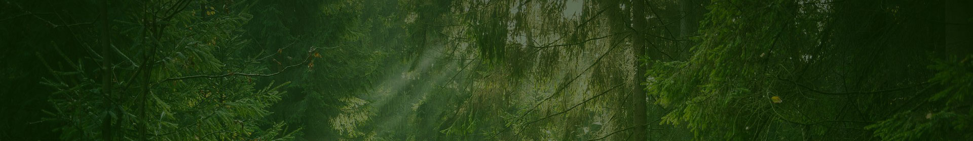 镇江品茶工作室